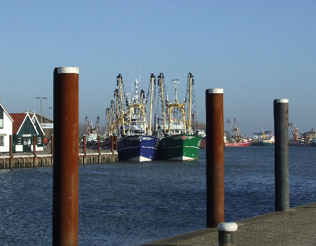 2008_1109_Texel0003.JPG - The Fishing Fleet
