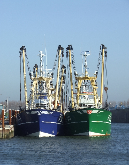 2008_1109_Texel0004.JPG - No Comment