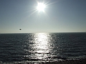 2008_1109_Texel0001