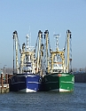 2008_1109_Texel0004