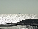 2008_1109_Texel0017