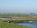 2008_1109_Texel0019