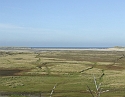 2008_1109_Texel0027
