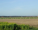 2008_1109_Texel0031
