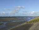 2008_1109_Texel0057