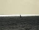 2008_1109_Texel0063
