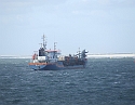 2008_1109_Texel0065