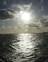 2008_1109_Texel0068