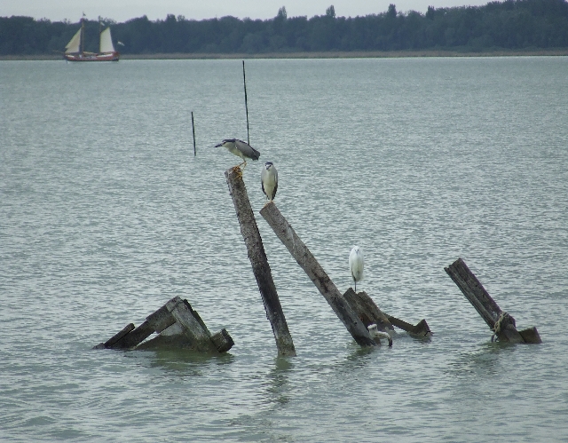 2008_0503_thuis0012.JPG - Nature is Close By