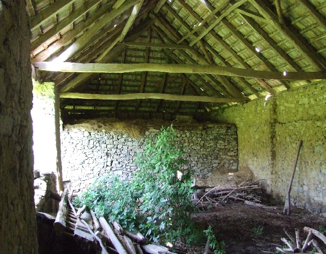 2008_0503_thuis0016.JPG - Old, Very Old