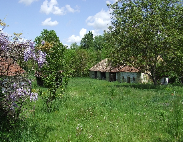 2008_0503_thuis0025.JPG - The Garden