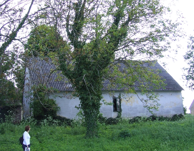 2008_0503_thuis0045.JPG - Beautiful Farm but the Location is Bad
