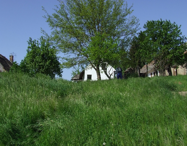 2008_0503_thuis0065.JPG - View From the Backyard