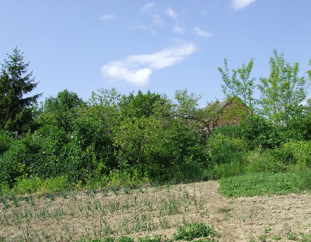 2008_0503_thuis0079.JPG - More garden