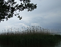2008_0503_thuis0011