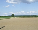 2008_0503_thuis0056