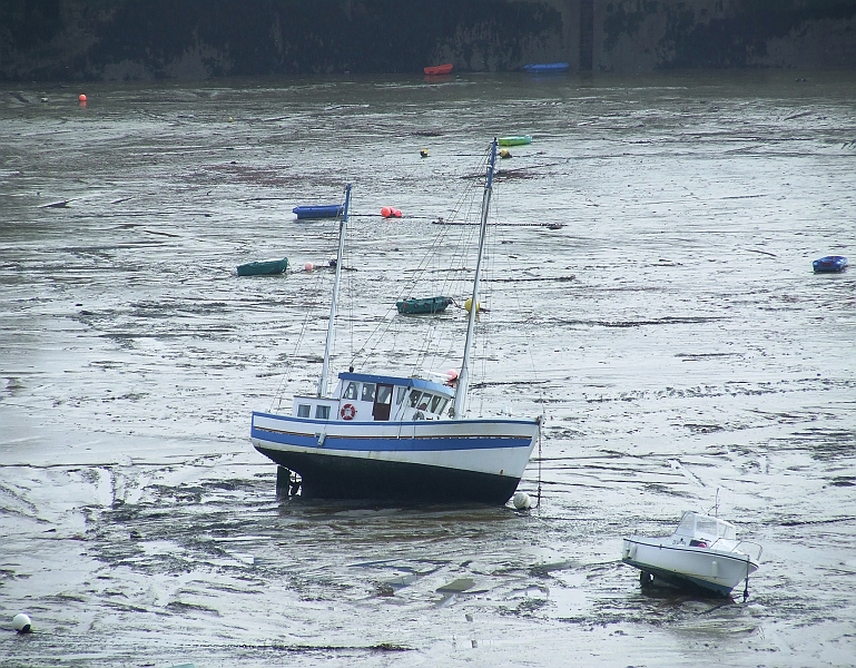 2009_0311_Normandie_Maart0083.JPG - Dry