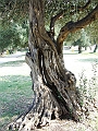 2009_0929_croatie0042