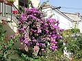 2009_0929_croatie0062