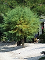 2009_0929_croatie0065