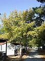 2009_1005_croatie0063