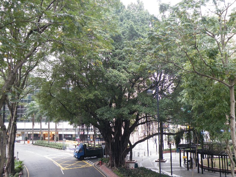 DSCF5350.JPG