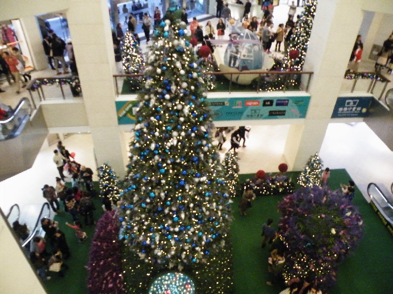 DSCF5393.JPG