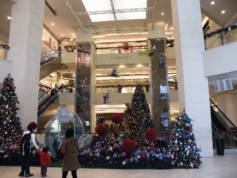 DSCF5560.JPG