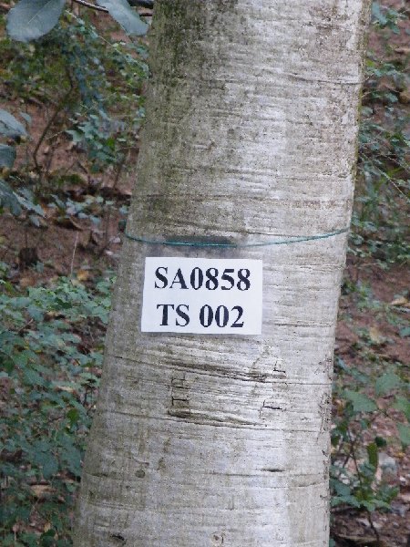 DSCF5563.JPG