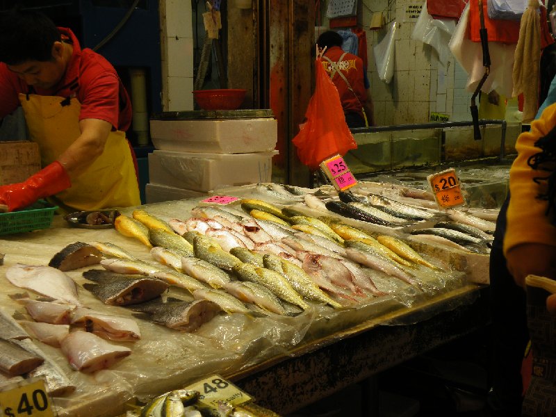 DSCF5815.JPG