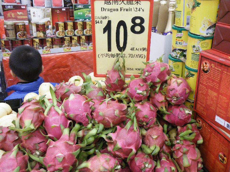 DSCF5854.JPG