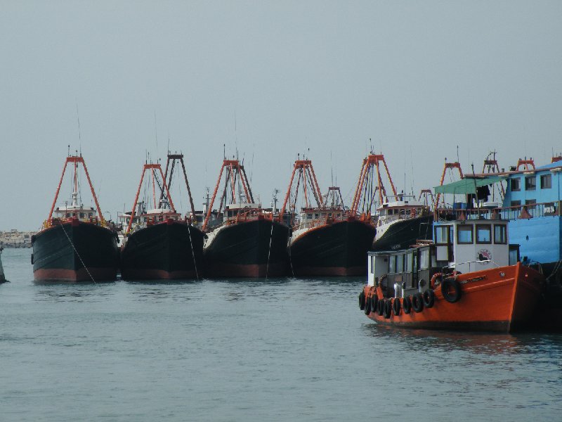 DSCF5855.JPG