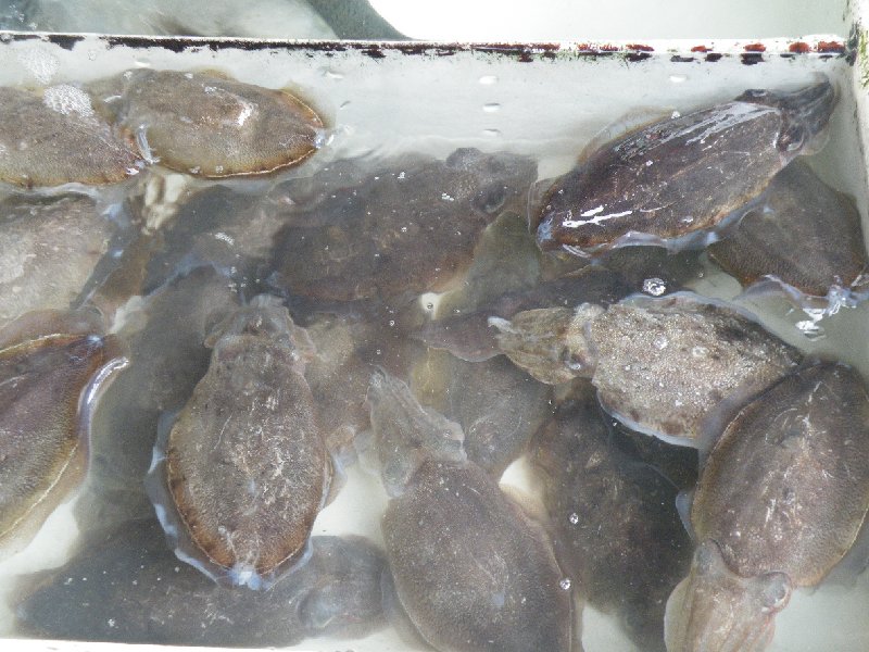 DSCF5863.JPG