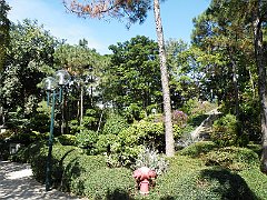 DSCF5638