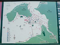 DSCF5941