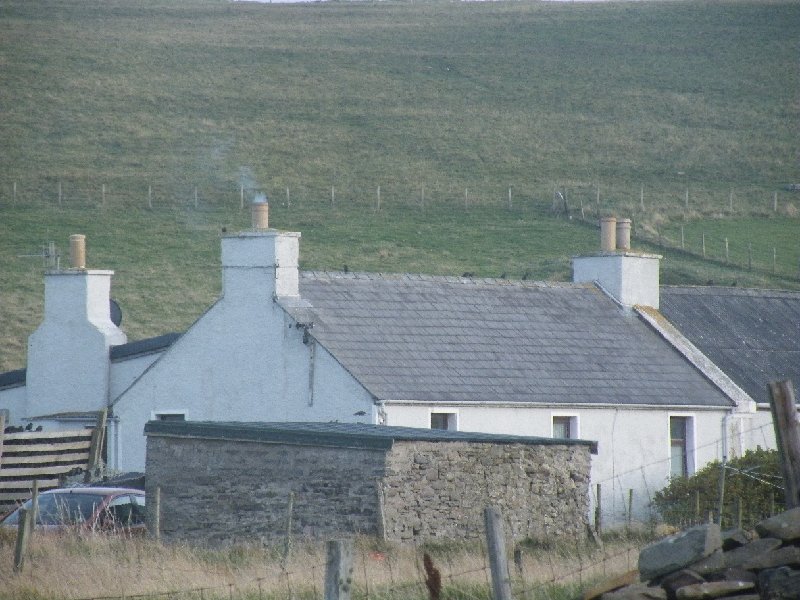 DSCF4241.JPG - Small Local House