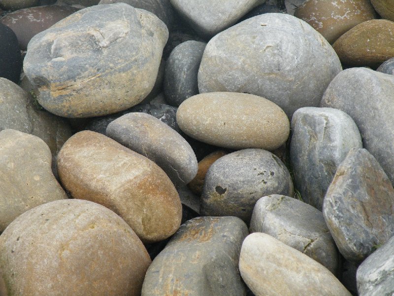 DSCF4281.JPG - Rocky Beach