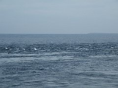 DSCF4321