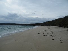 DSCF4433