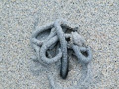 DSCF4476