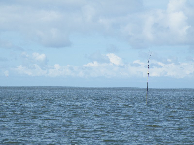 2012_04150012.JPG