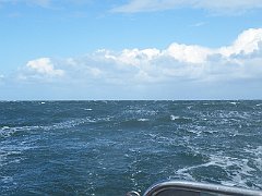 DSCF4868