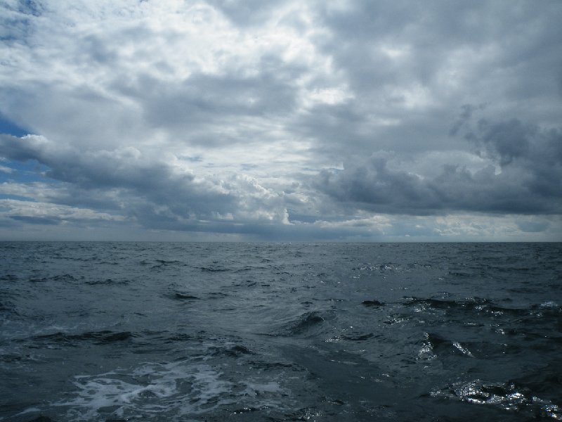 DSCF4982.JPG