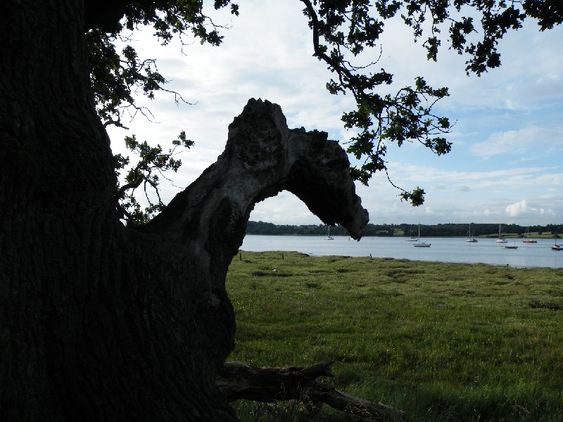 DSCF5009.JPG