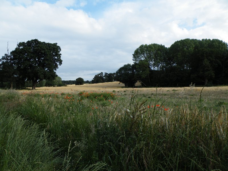 DSCF5016.JPG