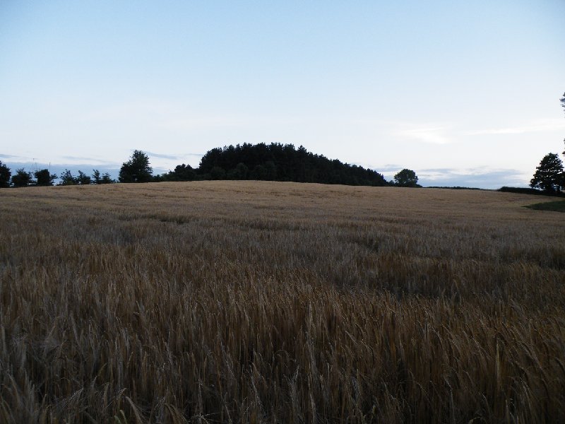DSCF5046.JPG