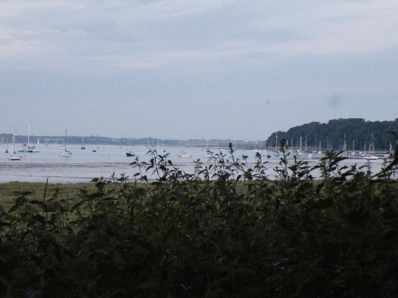 DSCF5050.JPG