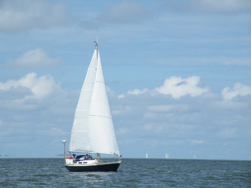 DSCF5200.JPG