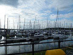 DSCF5003