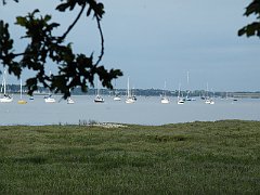 DSCF5010